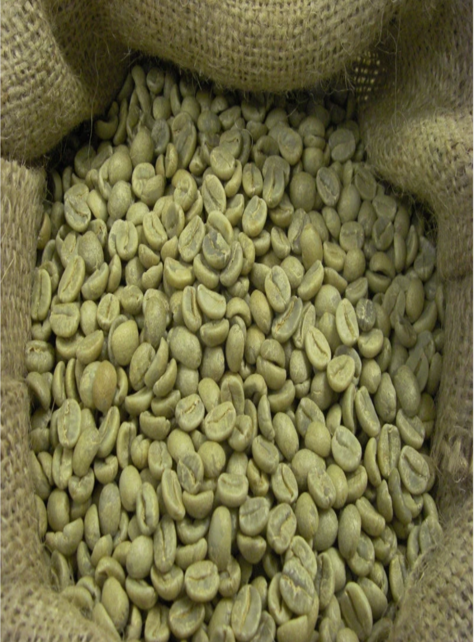 Organic Green Beans - Colombia  1 lb
