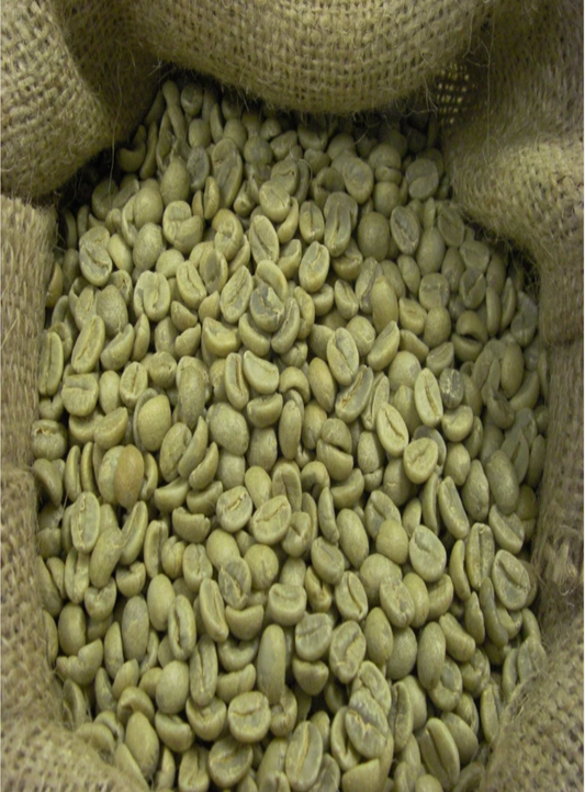 Organic Green Beans - Colombia  1 lb